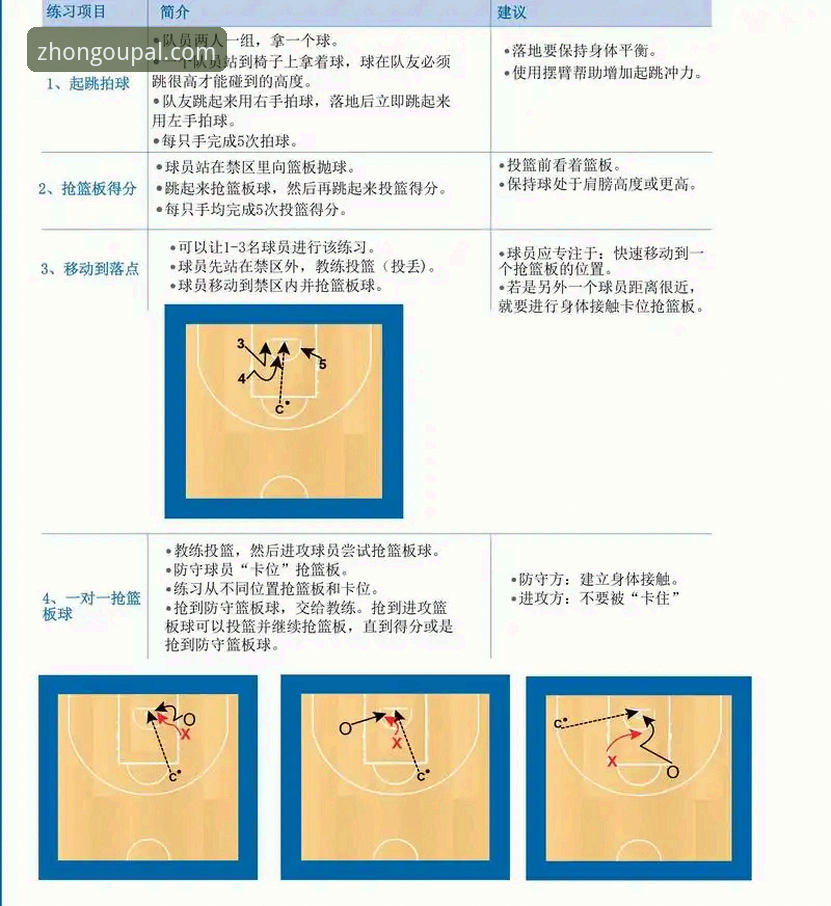 中欧体育平台新手入门教程详解：从注册到投注的全流程指南