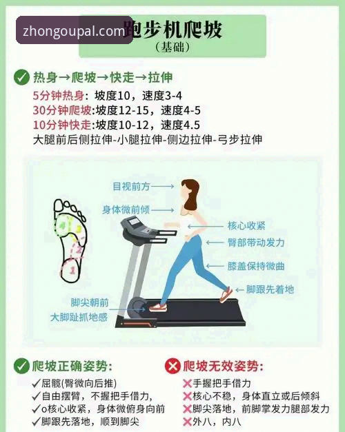 中欧体育A3B7功能详解：新手也能快速上手的专业体育平台